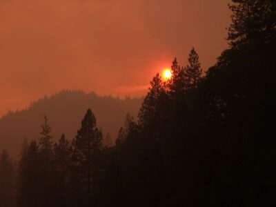Building Climate Resilience Through Insurance Incentives