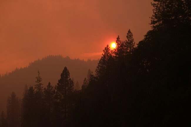 A forest fire turns the sky orange