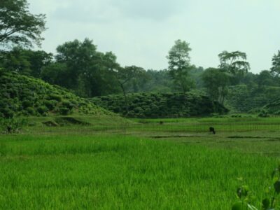 Repairing Global Navigation Satellite Systems in the Land of Tea