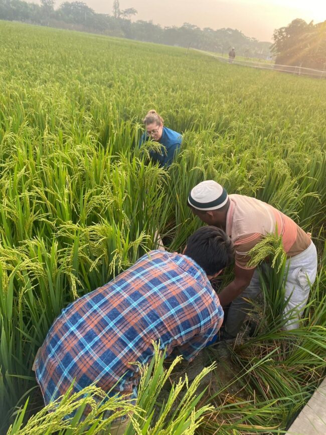 Tim melakukan pengukuran di sawah
