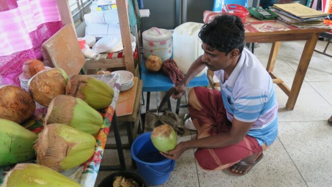 Pria menyajikan kelapa hijau 