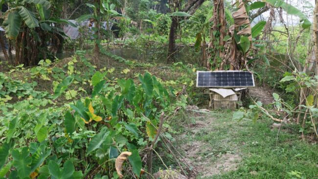 Kotak peralatan di taman