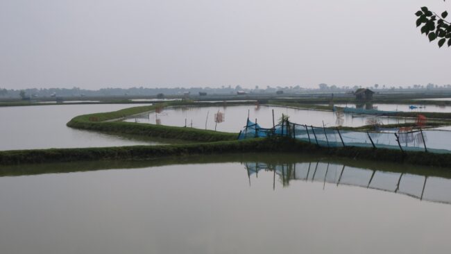 Daerah yang terendam banjir