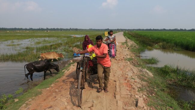 Menyeberang jalan yang sulit dengan becak