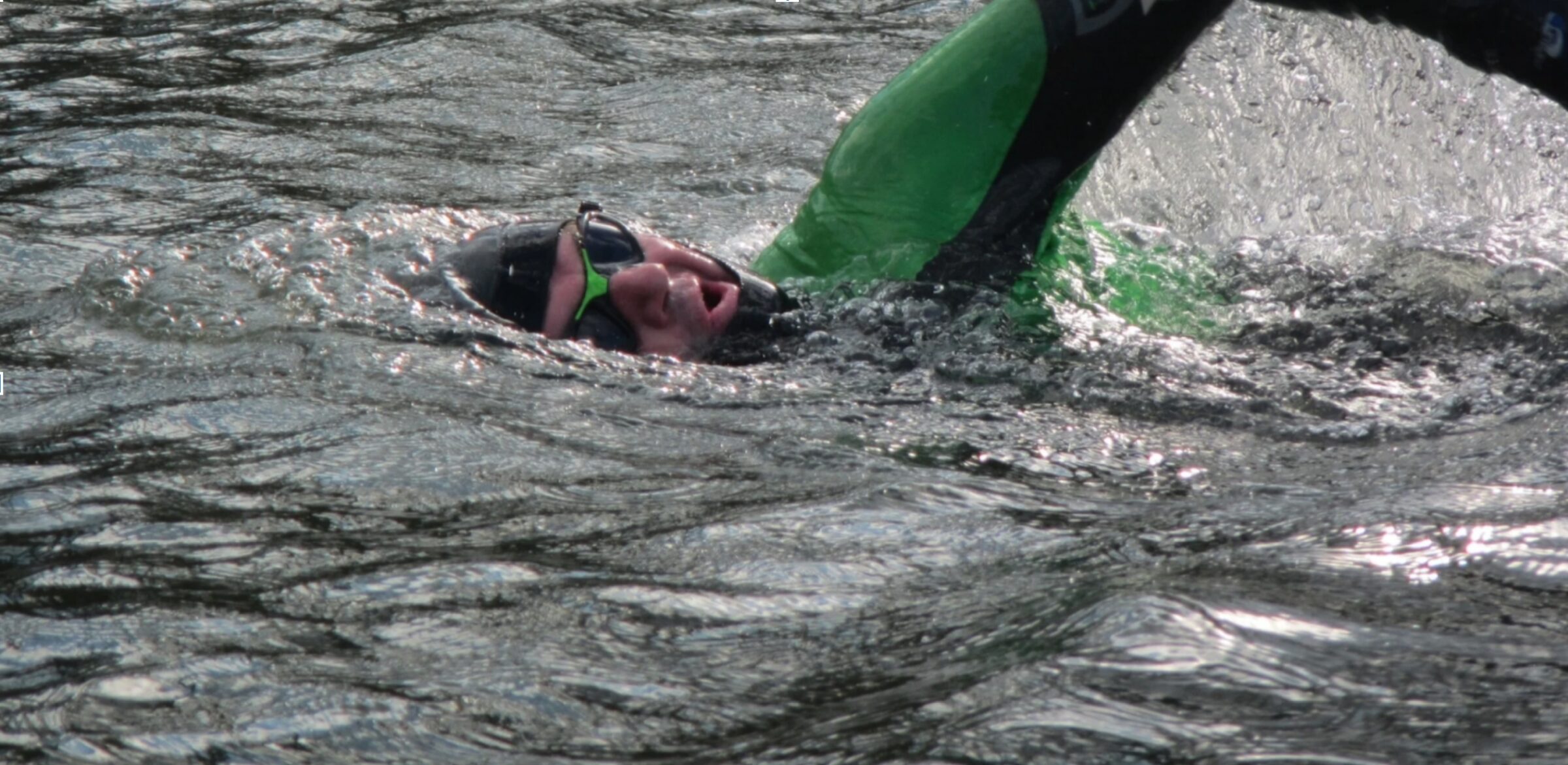 Swimming Toward a Constitutional Right for Nature