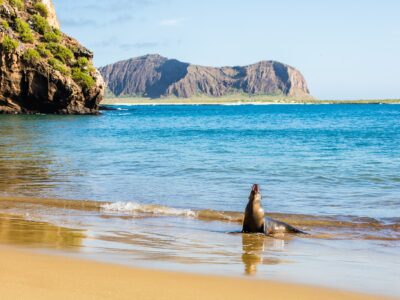 Ecuador’s High-Stakes Vote: Will the Galápagos Become a U.S. Navy Outpost?