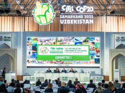 SIPA Alumni Champion Wildlife Protection at Major Conference in Uzbekistan