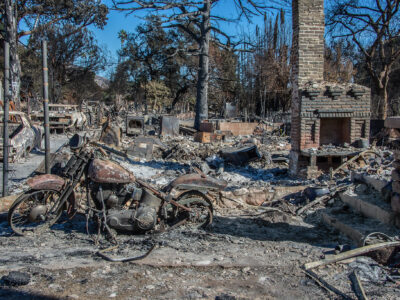 It’s Been One Year Since Wildfires Devastated Los Angeles. What Have We Learned?
