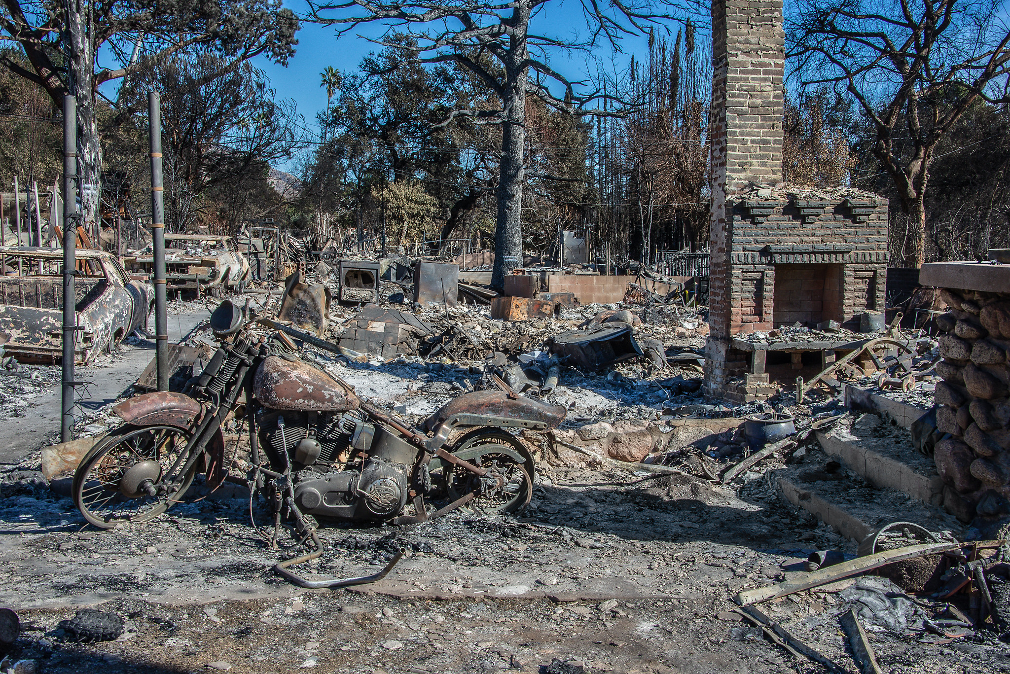It’s Been One Year Since Wildfires Devastated Los Angeles. What Have We Learned?