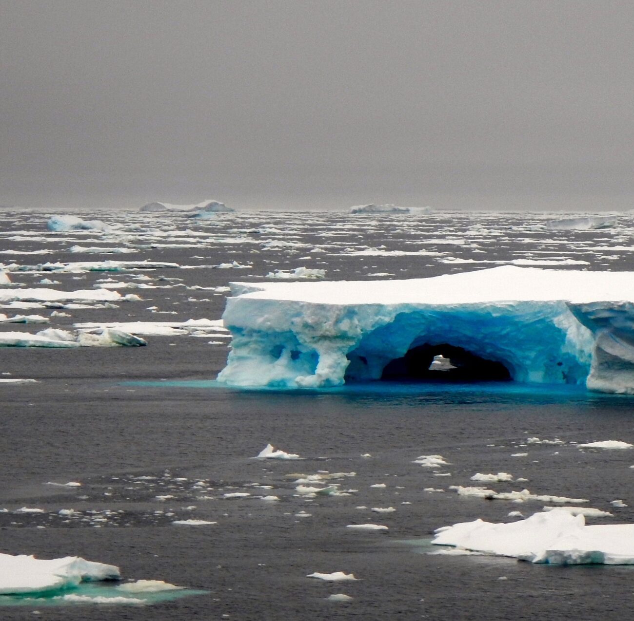 Unexpected Climate Feedback Links Antarctic Ice Sheet With Reduced Carbon Uptake