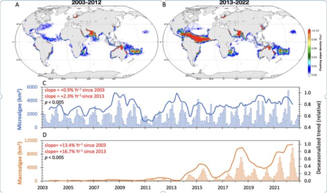 A figure showing increases in algae bloom growth between 2003 – 2012 and 2013 – 2022.