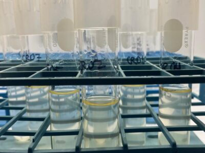 New Study Reveals Hidden “Chemical Currency” Fueling the Ocean’s Carbon Cycle