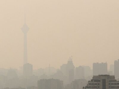 The Environmental Cost of War