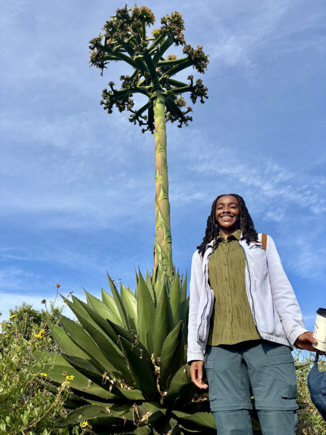 Century Plant and Amara Leazer in San Diego. (Ryann Busillo, Climate School & GSAPP)