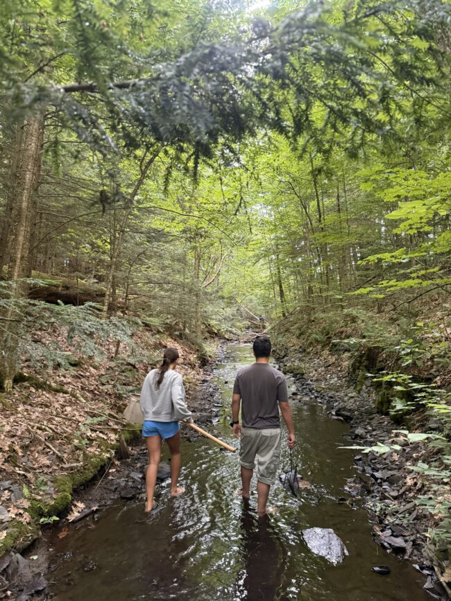 Climate School in Green Mountains students studying water quality. (Laurel Zaima-Sheehy, Climate School)