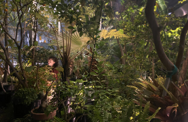 Scene from FEFU & HER FRIENDS at Barnard greenhouse. (Sandra Goldmark, Climate School)