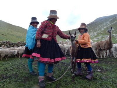 Indigenous Herders and Peru’s Melting Glaciers: A Conversation with Anthropologist Allison Caine
