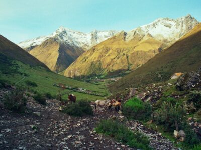 Columbia Beautiful Planet 2026