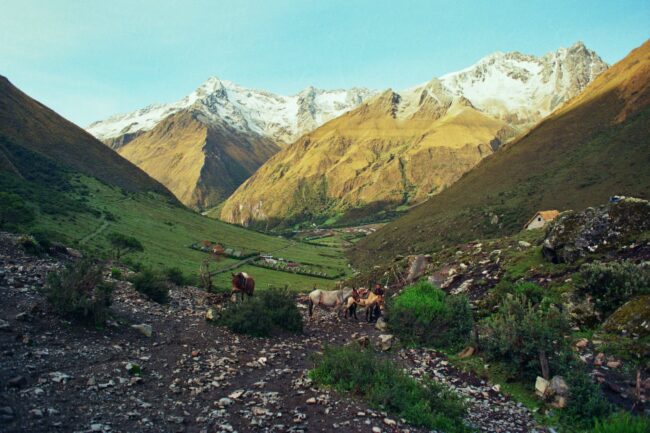 Peruvian Andes. (Amelia Markes, MPA ESP)
