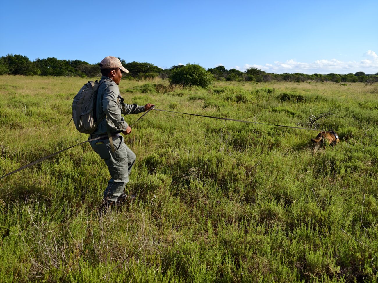 Demonstrasi anti perburuan liar K9