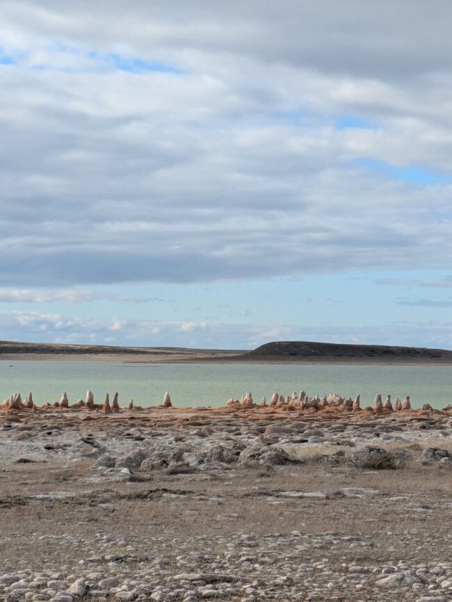 Stromatolites, Tierra del Fuego, Chile. (Larissa Souki, Columbia)