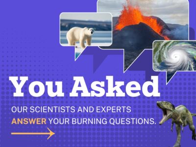 You Asked: Lamont and Climate School Experts Tackle Reader Questions on Science and Sustainability