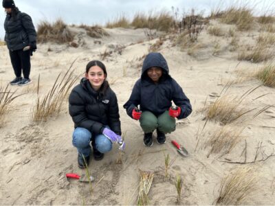 Can Coney Island’s Dunes Protect Against Another Sandy?