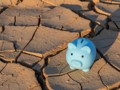 Climate Finance in the Multipolar Era