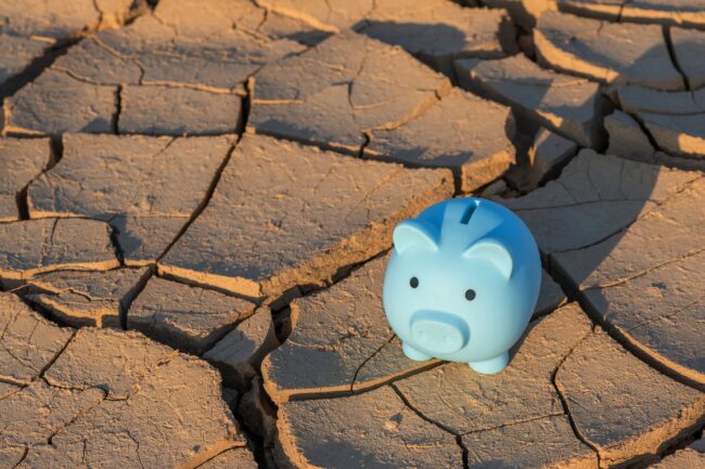 Blue piggy bank against the background of heat-cracked clay in the desert