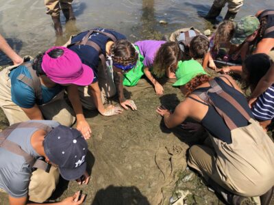 Join Us on May 30 to Celebrate Hudson River World Fish Migration Day