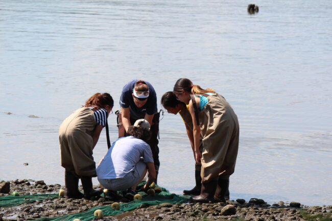 Educators and participants look at species by the water at World Fish Migration Day.