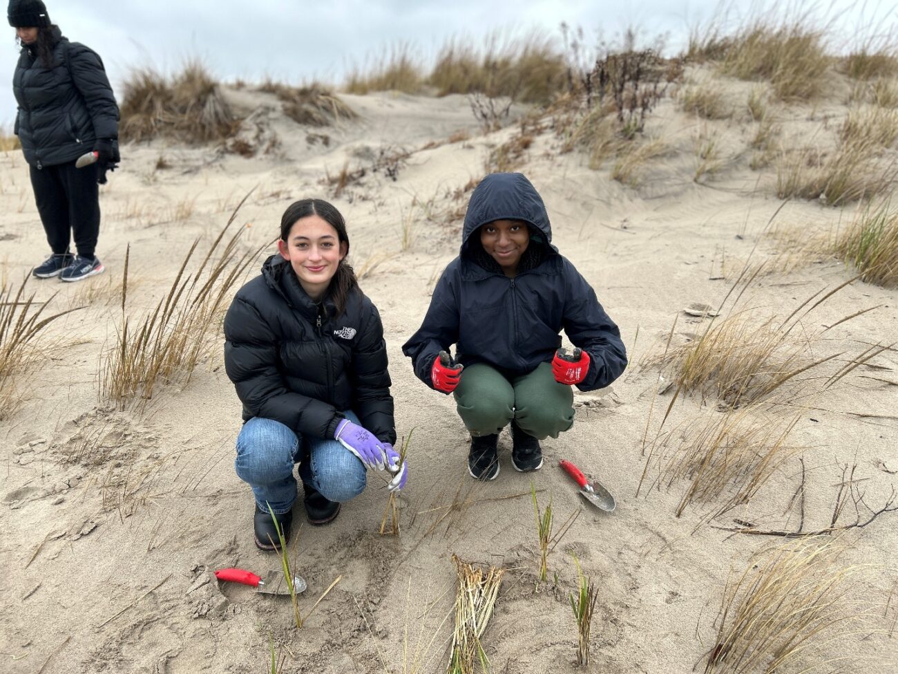 Two students plant beach grass at Coney Island Creek Park.