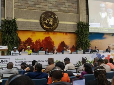 New U.N. Resolution Urges Member States to Act for Glacier Preservation