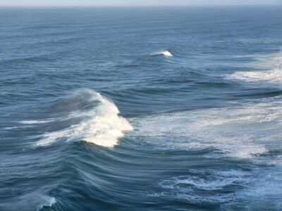 World Oceans Day Reimagines Our Relationship With the Water Around Us