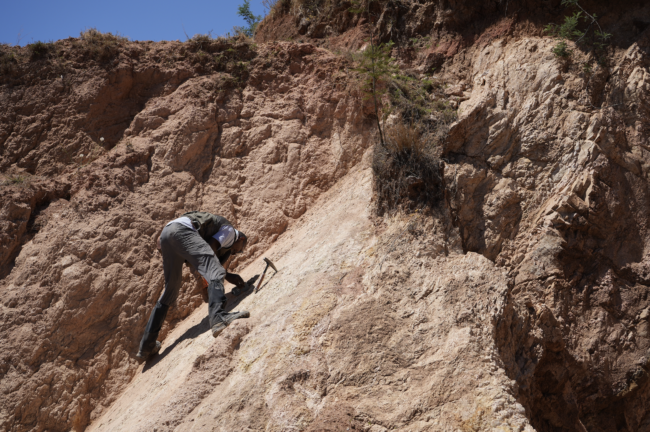 A geologist uses a rock hammer to collect samples of an exposed fault in East Africa.