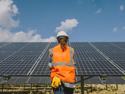 The AI Revolution Mirrors the Green Transition