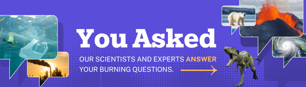 Banner with images representing environmental issues and text "You Asked: Our Scientists and Experts Answer Your Burning Questions."