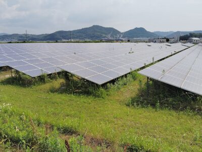 The Future of Climate Finance