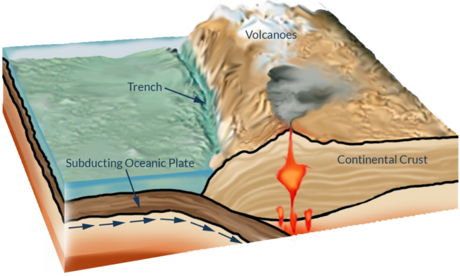 Cutaway illustration showing a subducting oceanic plate at the edge of a continent.