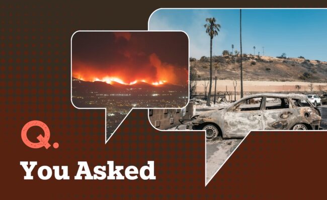 Wildfire damage shown with a burned car and a hillside fire in the background