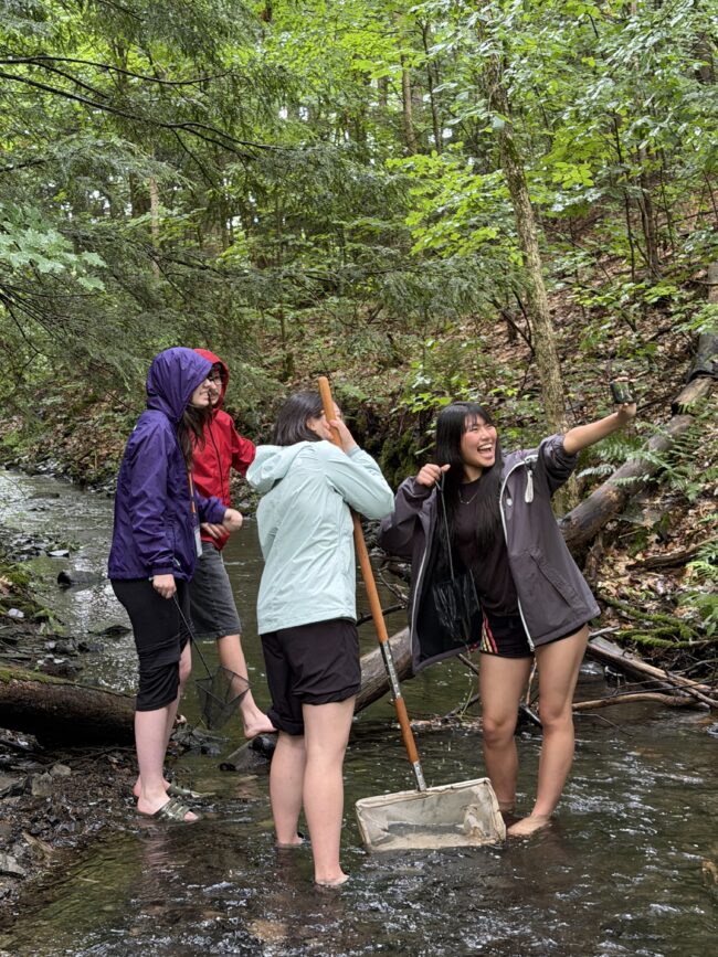 Four students wade in a forest stream, using nets and a pole while one takes a selfie