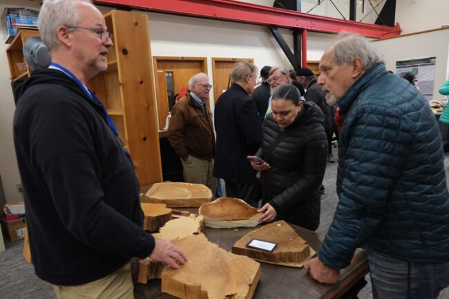 Visitors gather around an exhibit of large polished wood slabs
