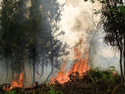 El Niño 2026: How Big Could It Get?