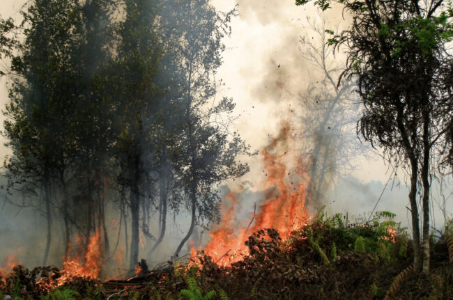 El Niño 2026: How Big Could It Get?