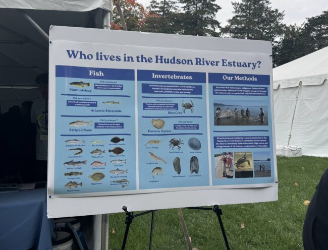 A photo of a sign at Open House detailing what species dwell in the Hudson River